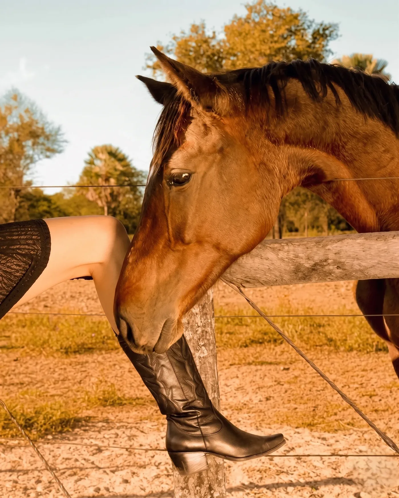 Mujer con botas negras junto a un caballo, al atardecer